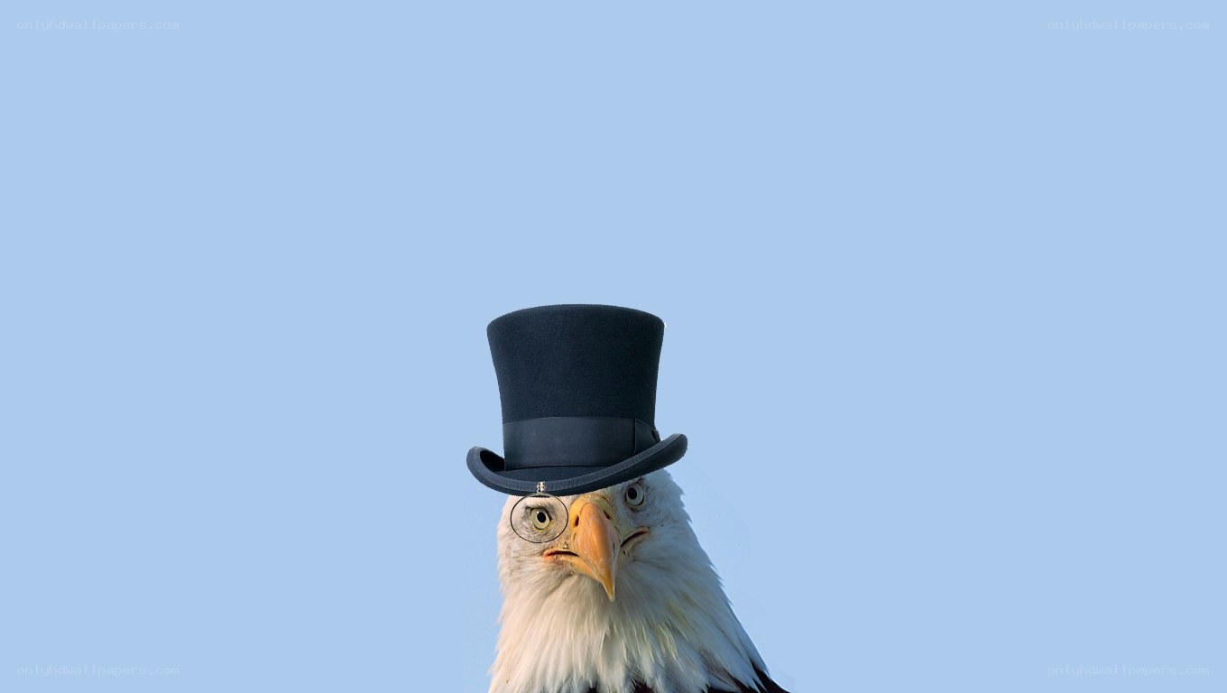 eagle in top hat
