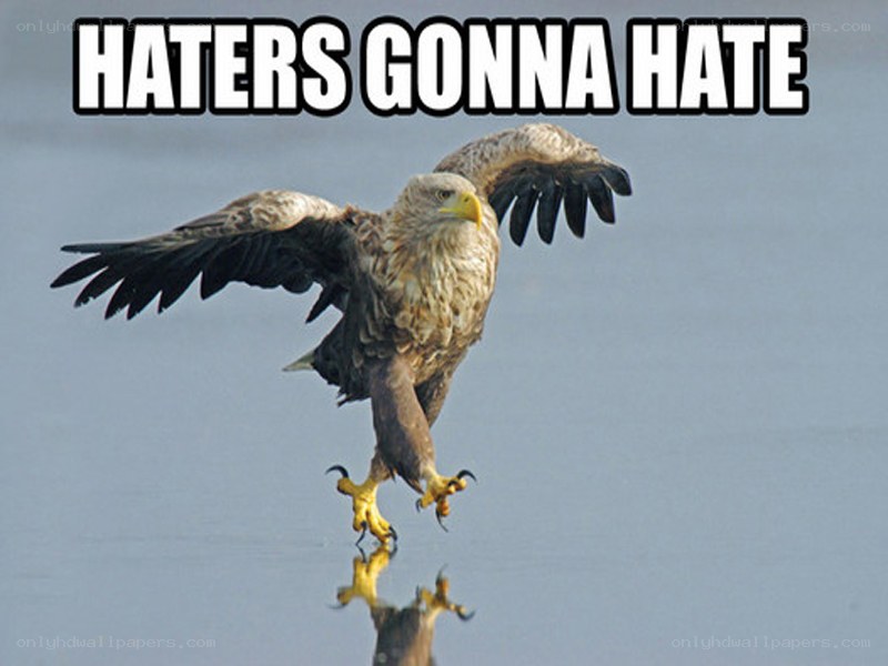 eagle landing on water