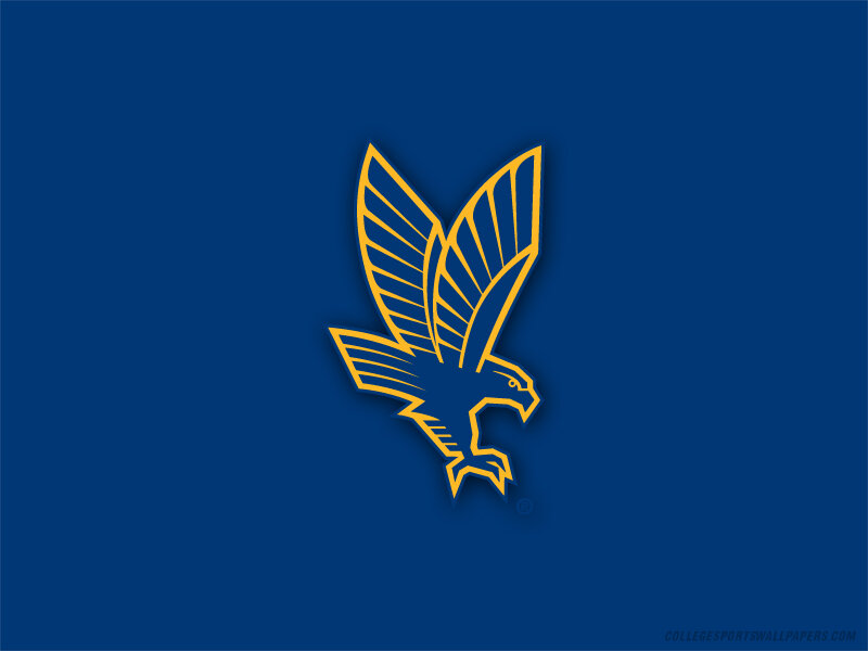 eagle logo on blue background