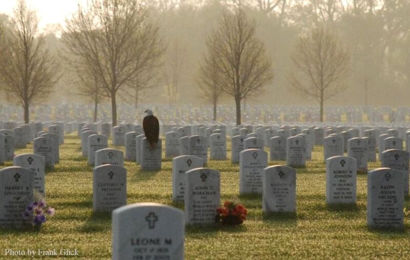 Eagle on a gravestone