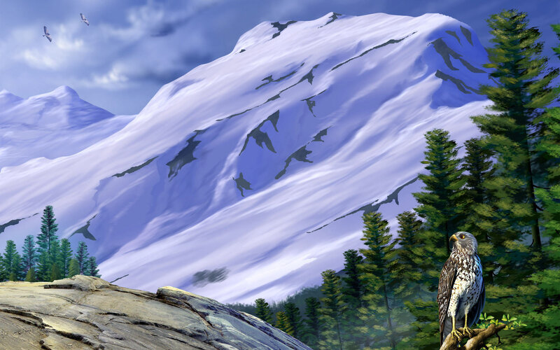 Eagle on a mountain peak