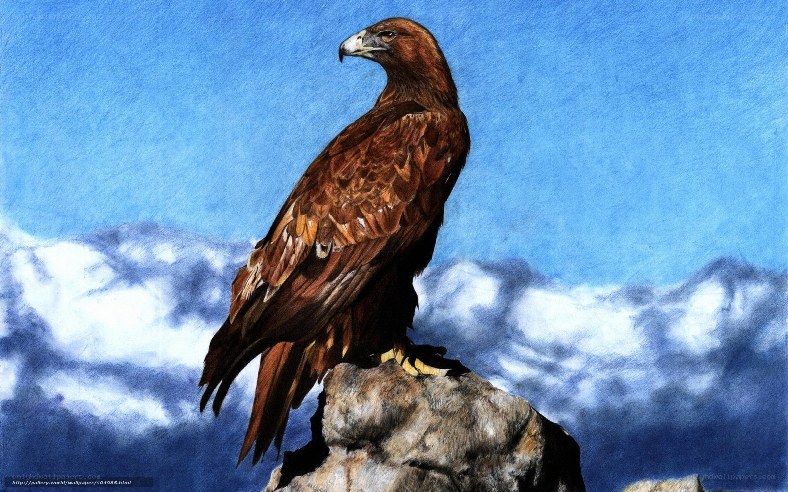 Eagle on a rocky peak