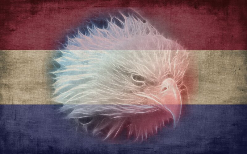 Eagle on flag background
