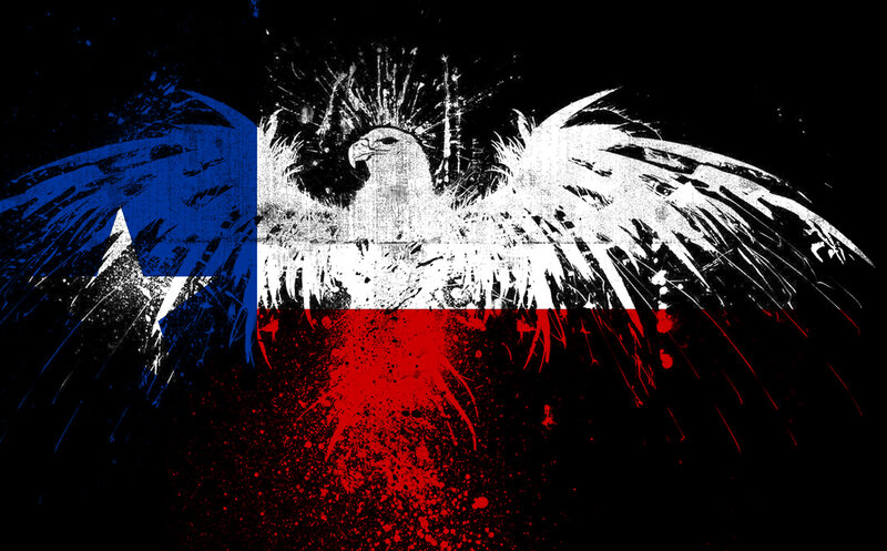 Eagle on Flag — Black, Dramatic