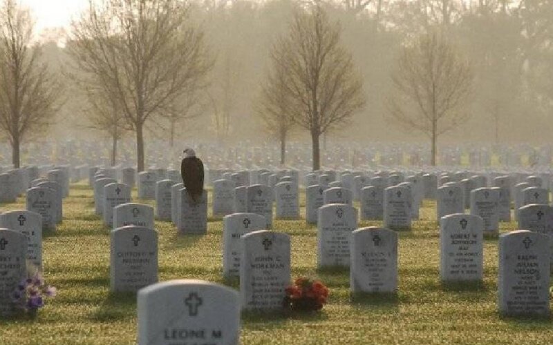 Eagle on Gravestone