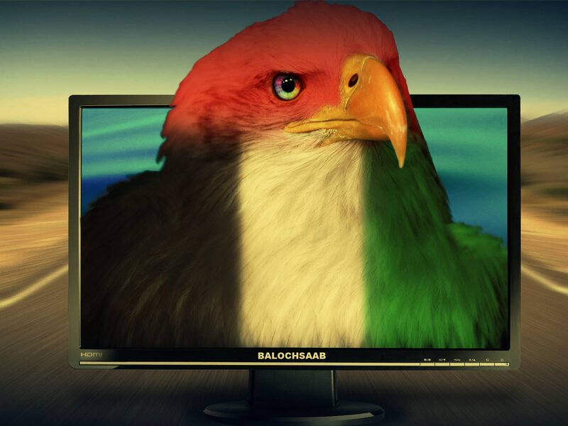 Eagle on Monitor