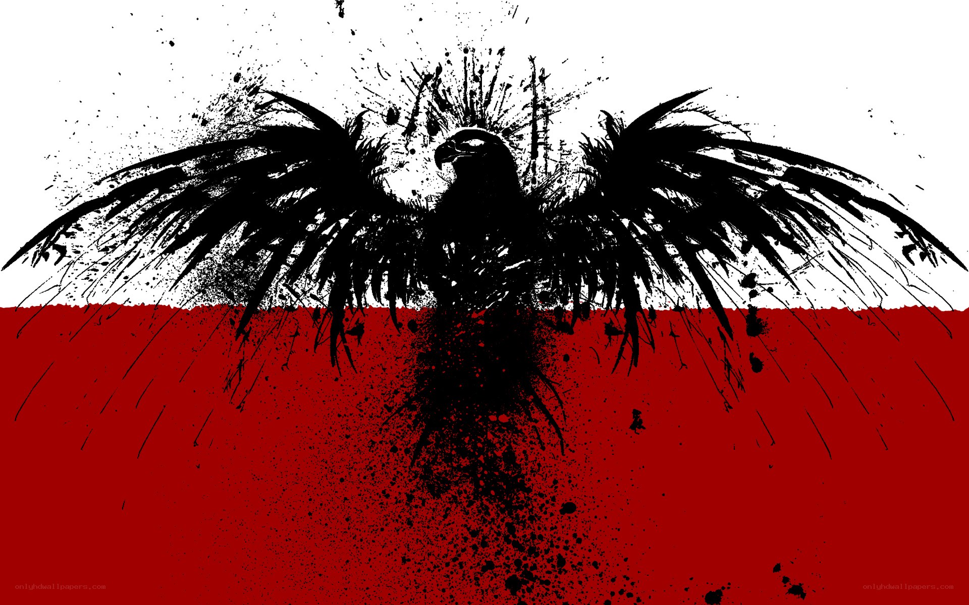 eagle on polish flag