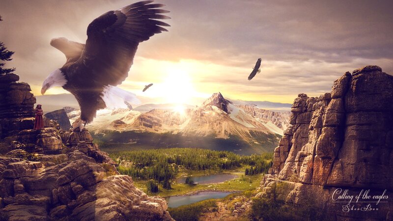 Eagle on Rocky Cliff