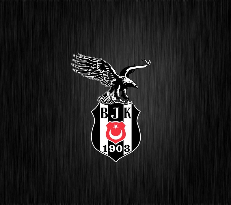 Eagle on Shield Logo