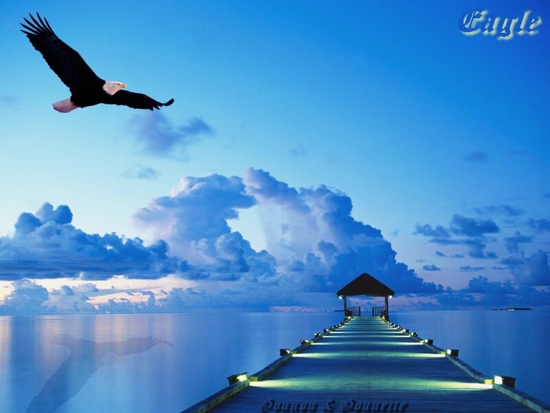 Eagle over a pier at dusk