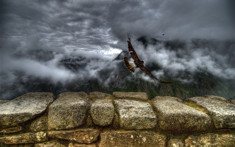 Eagle over Machu Picchu