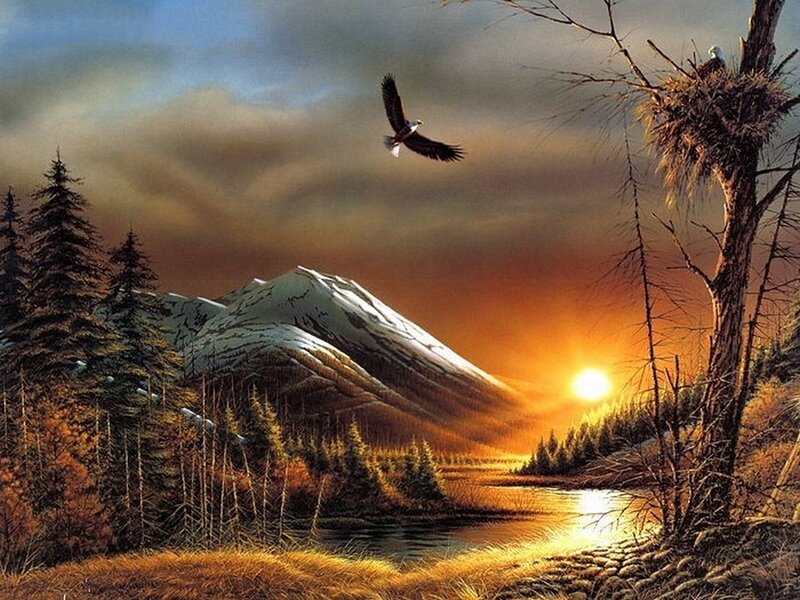 Eagle over mountain lake