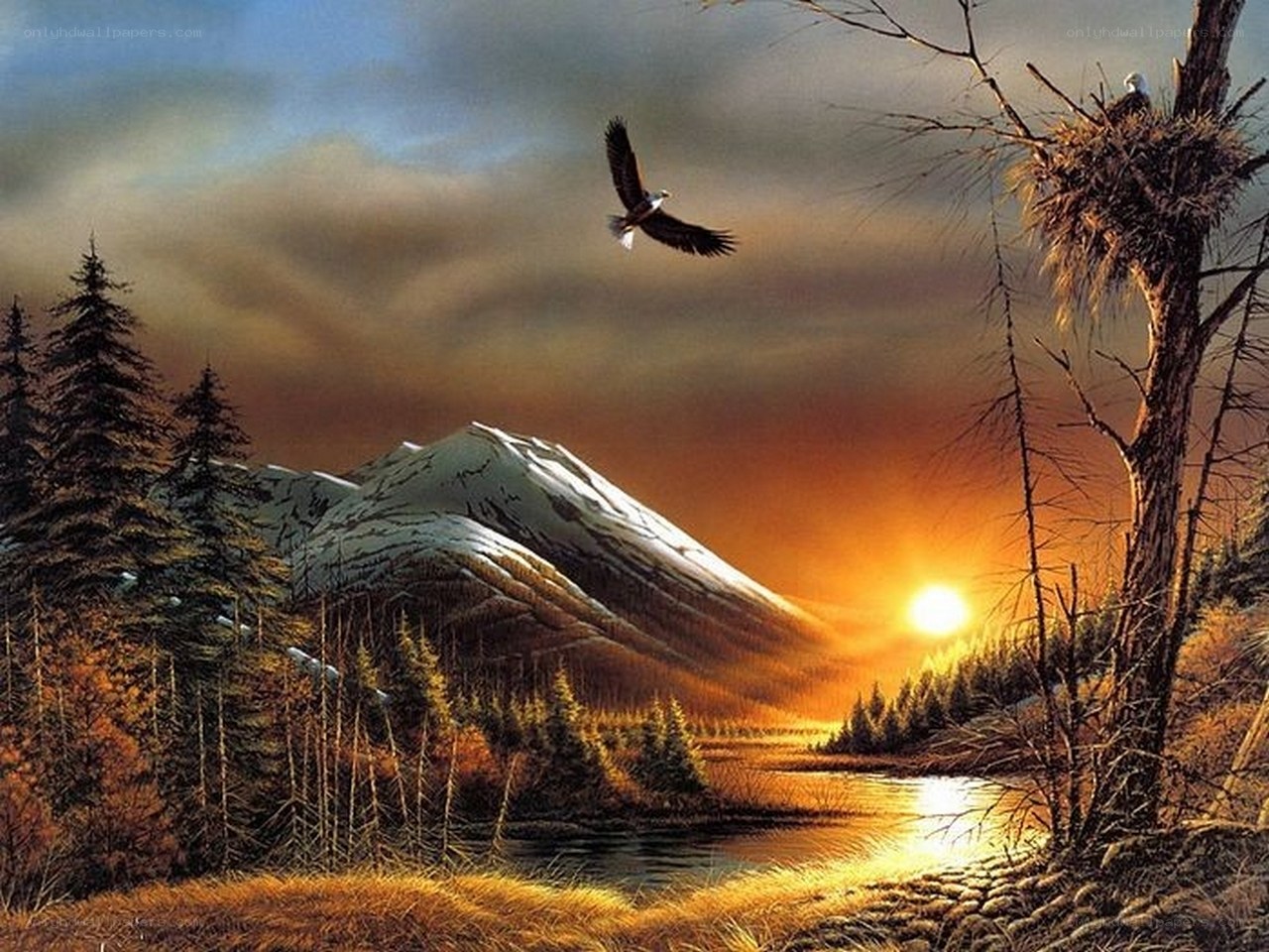 Eagle over mountain lake