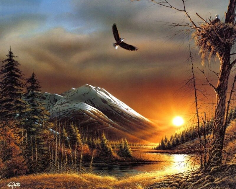 Eagle over mountain sunset