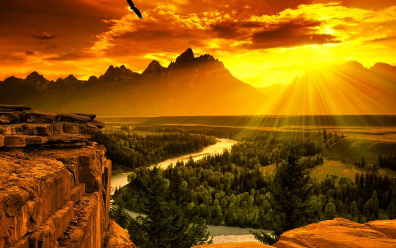 Eagle over River Valley — Orange