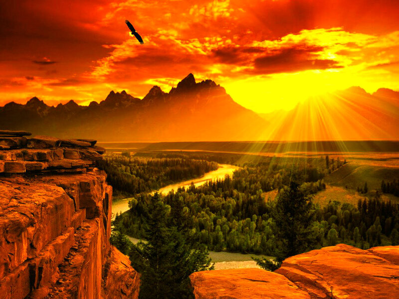 Eagle over River Valley