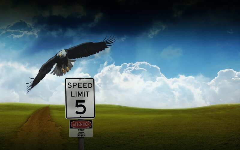 Eagle over speed limit sign