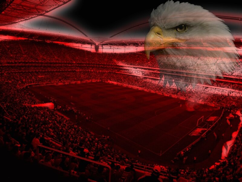 Eagle over stadium