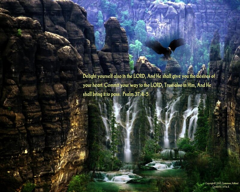 Eagle over Waterfall