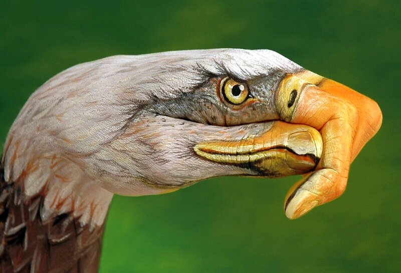 Eagle Painted on Hand — Green