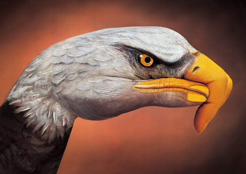 Eagle Painted on Hand — Orange