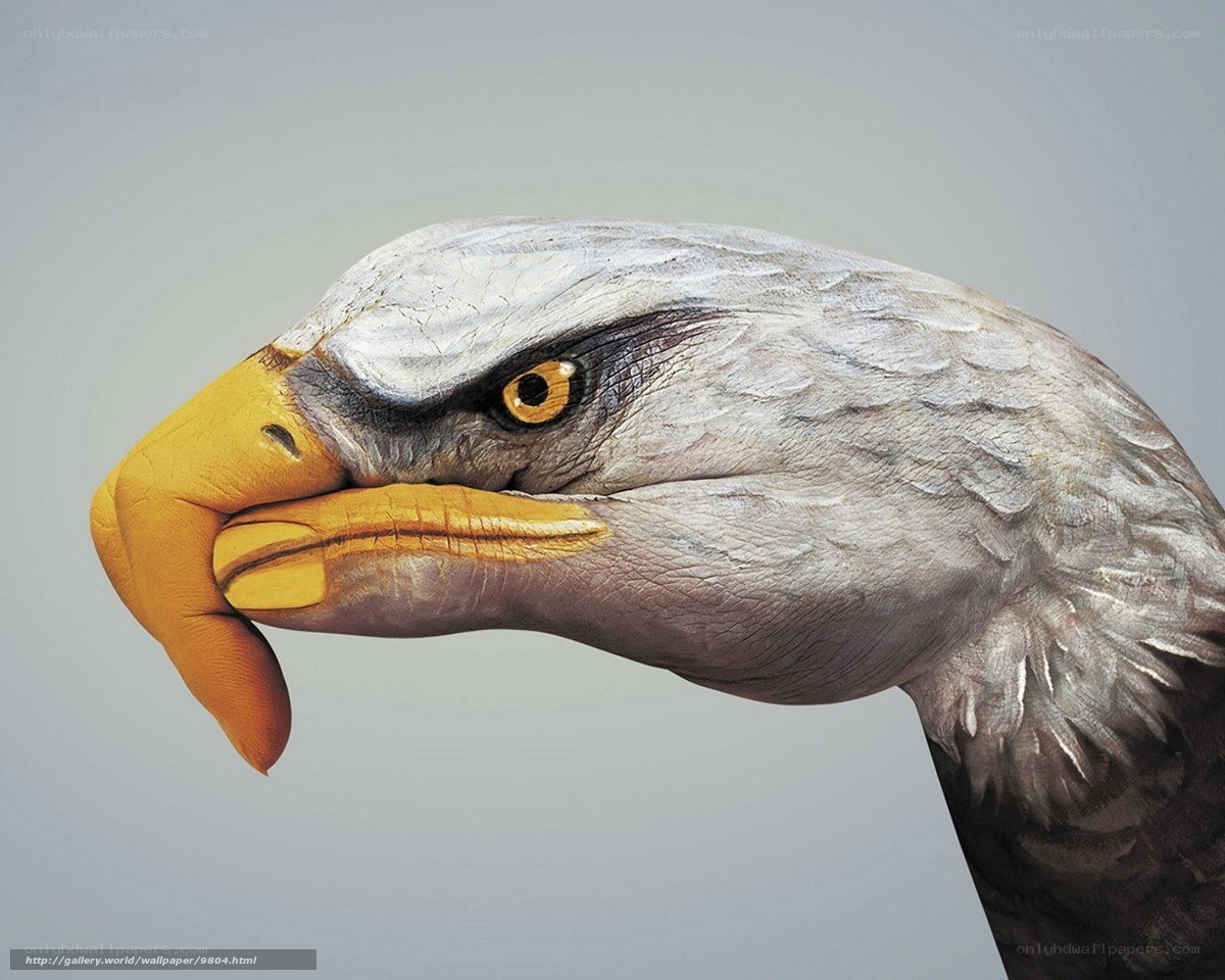 eagle painted on hand