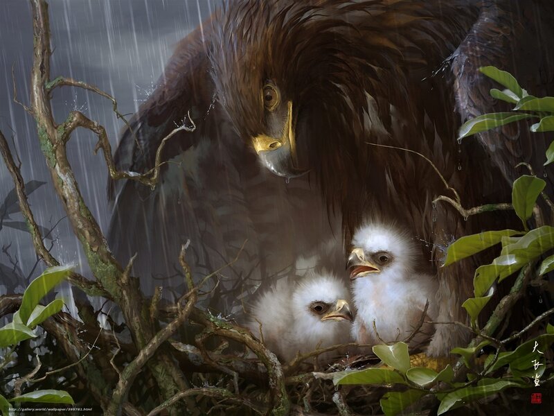 Eagle Protecting Its Chicks