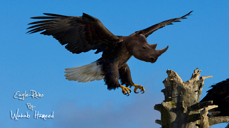 Eagle-rhino Hybrid