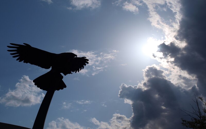 eagle sculpture against sky