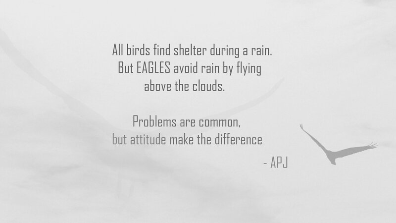 Eagle Silhouette — Gray