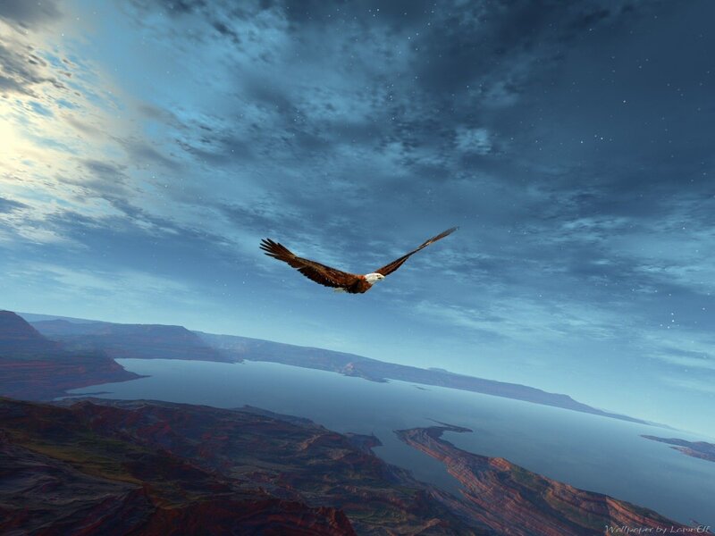 Eagle soaring over canyon lake