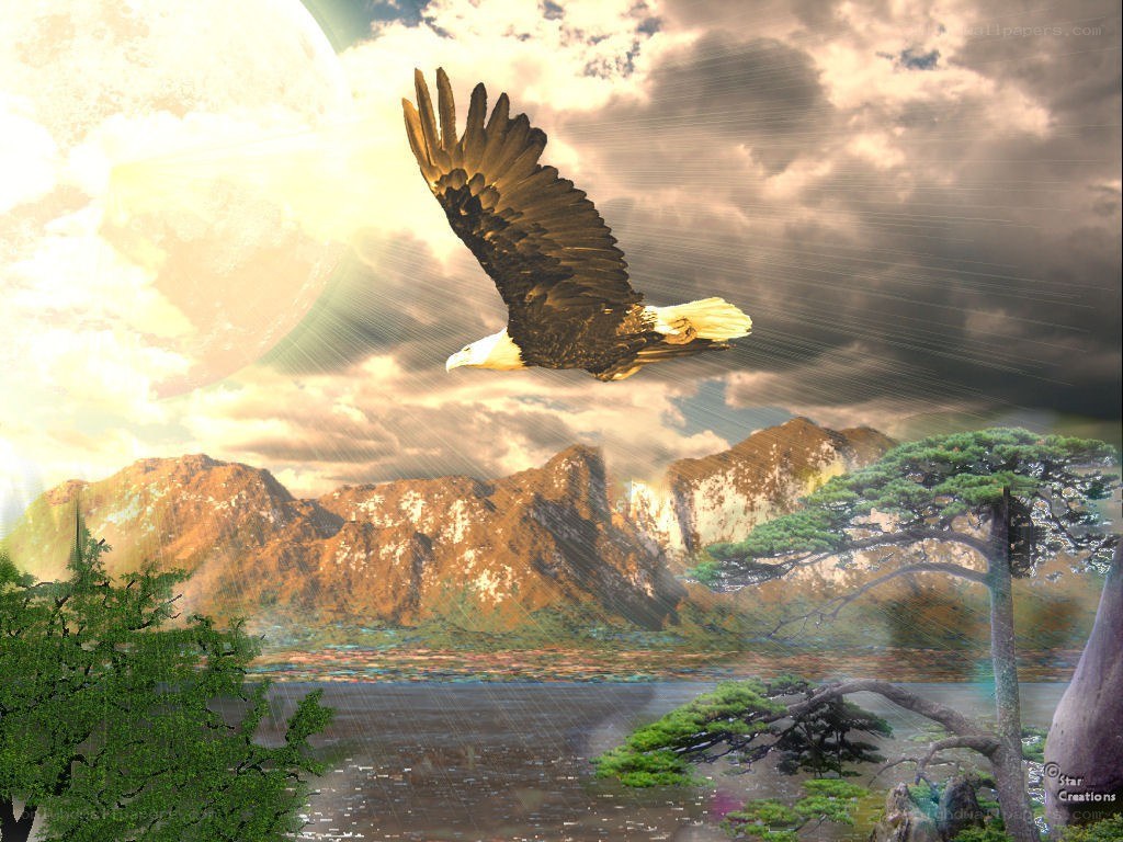 Eagle soaring over mountains