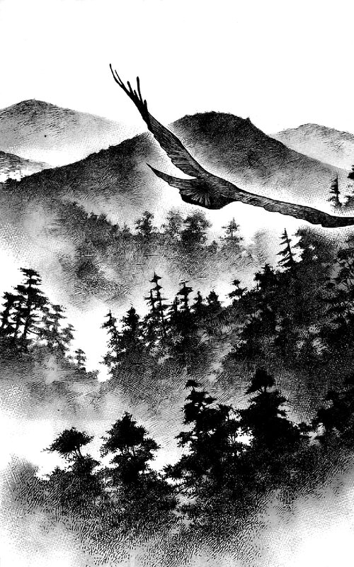 Eagle soaring over mountains