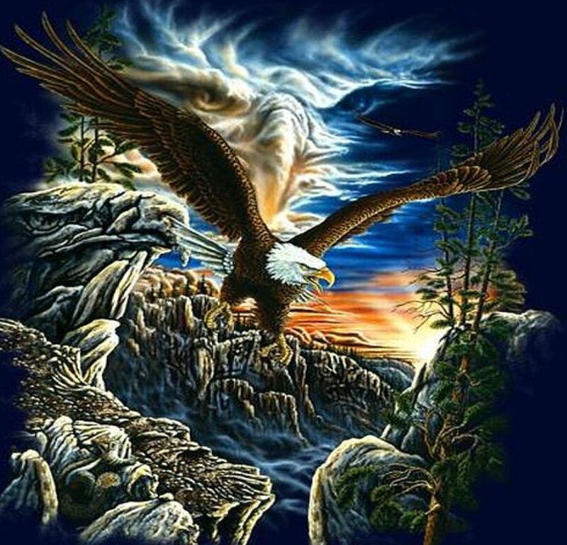 Eagle soaring over rocky cliffs