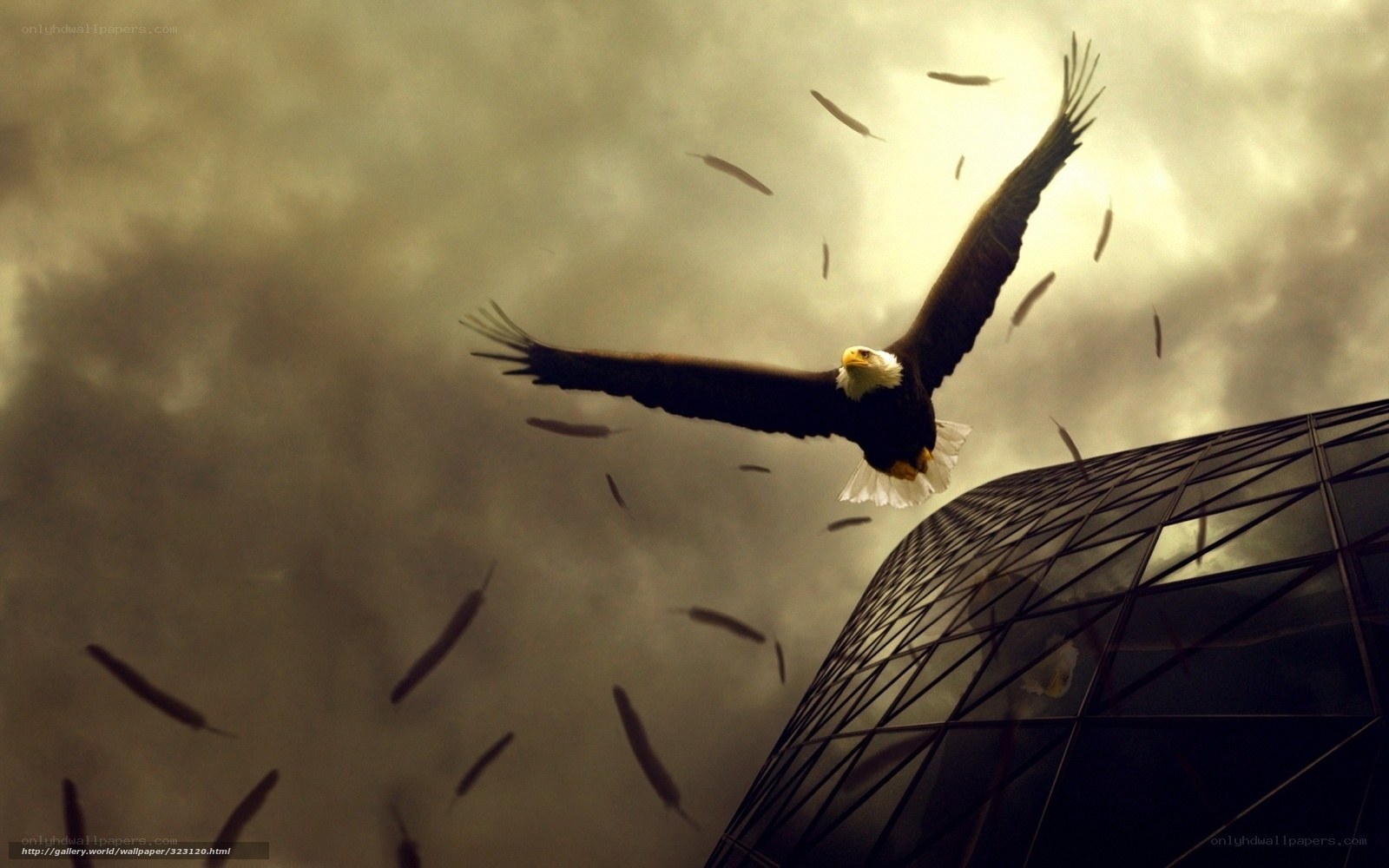 Eagle soaring over skyscraper