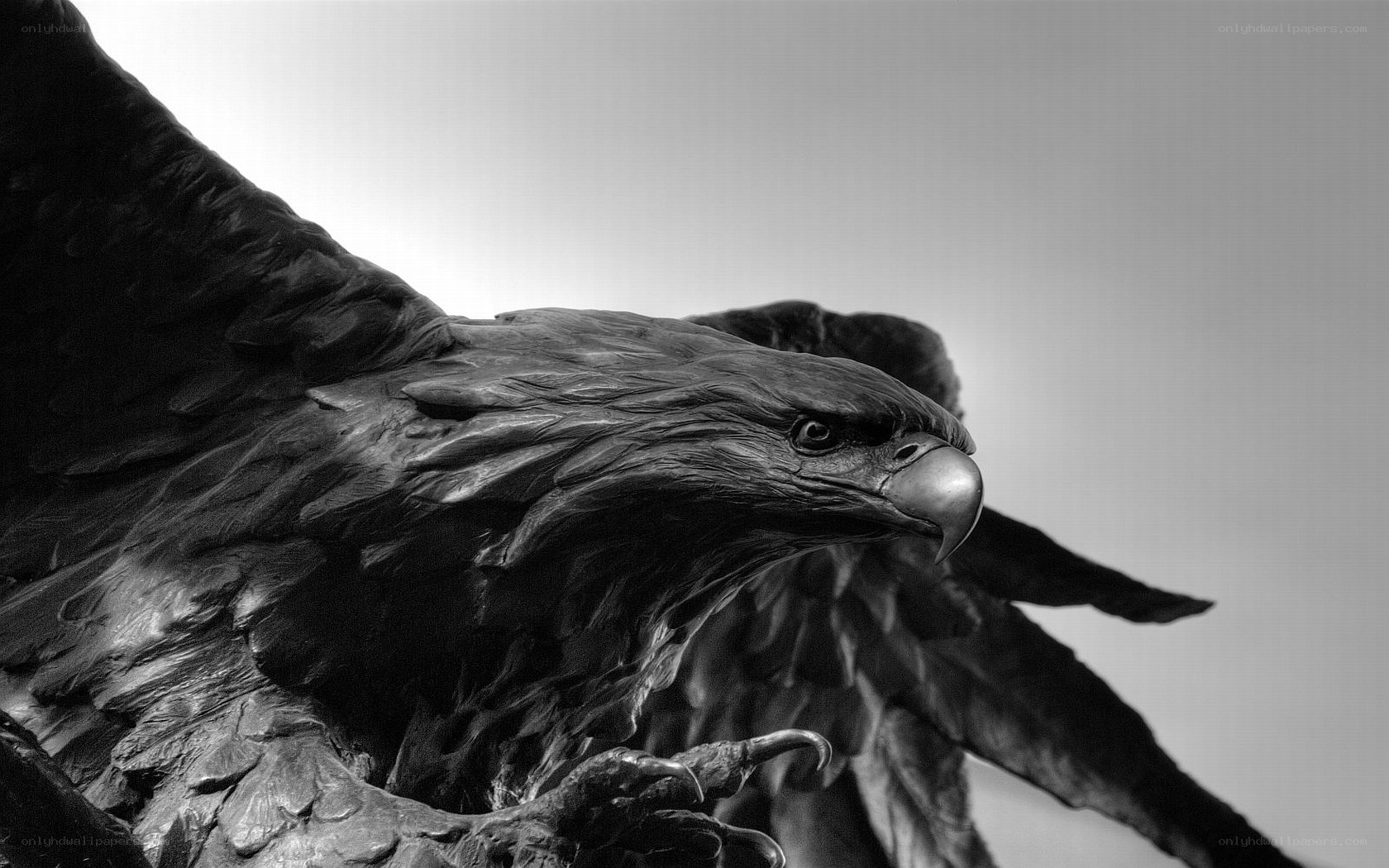 eagle statue in black and white