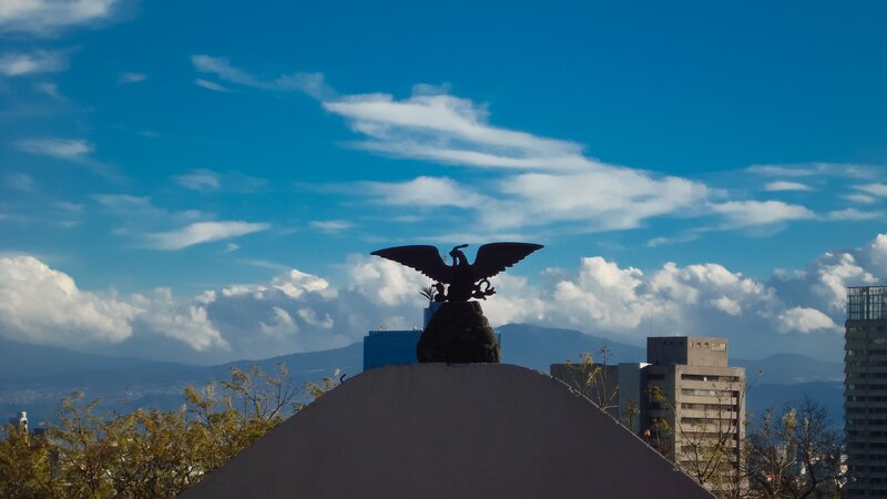 Eagle statue on city rooftop