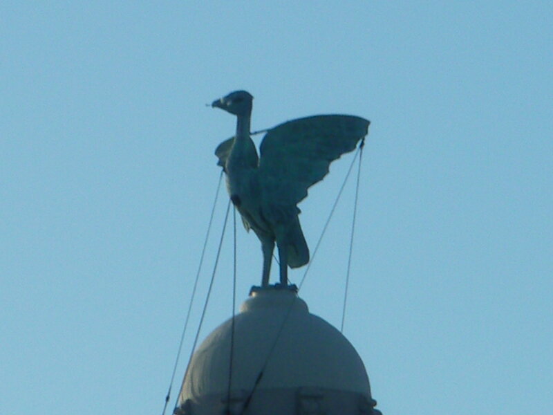 eagle statue on dome