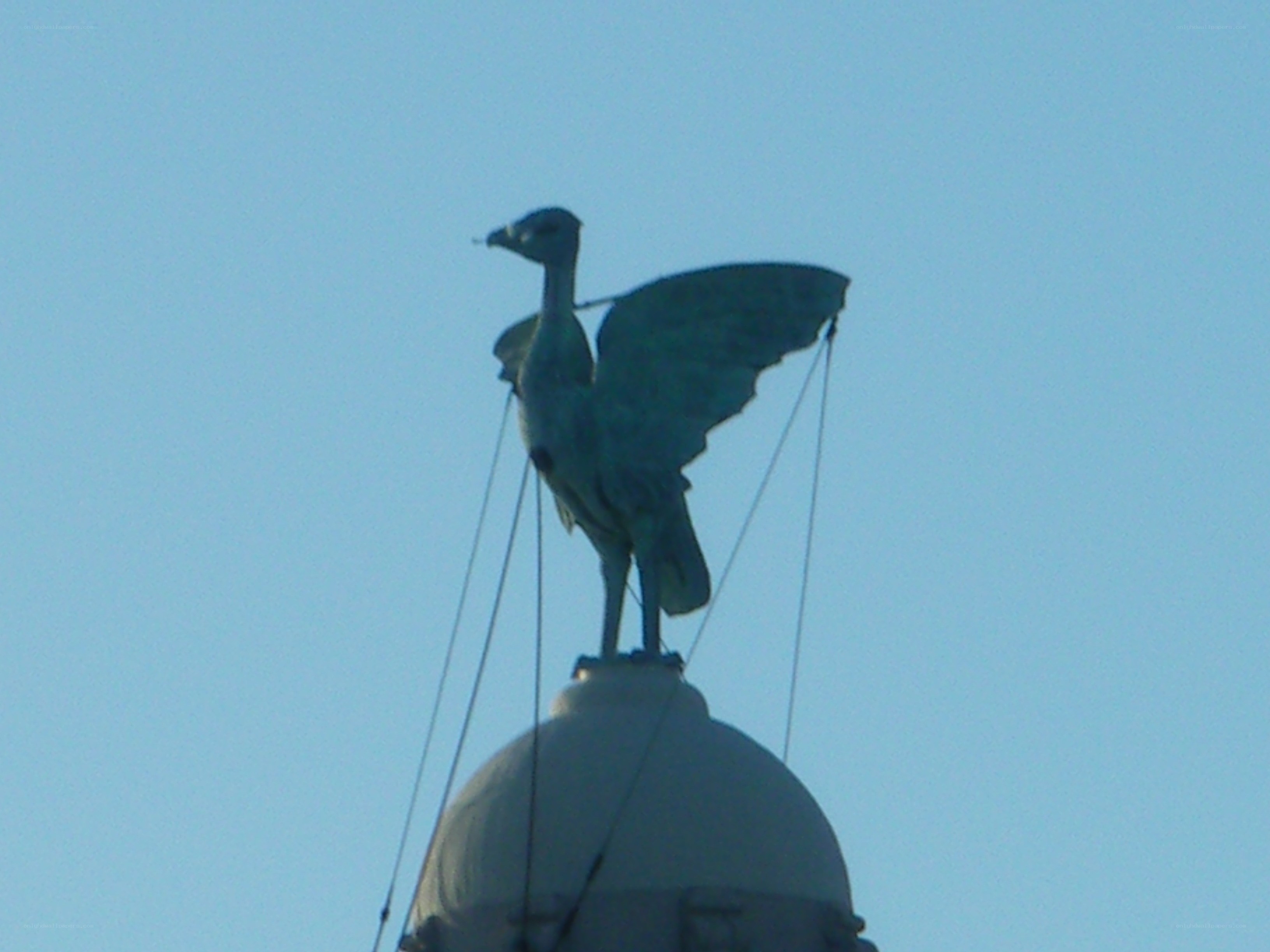 eagle statue on dome