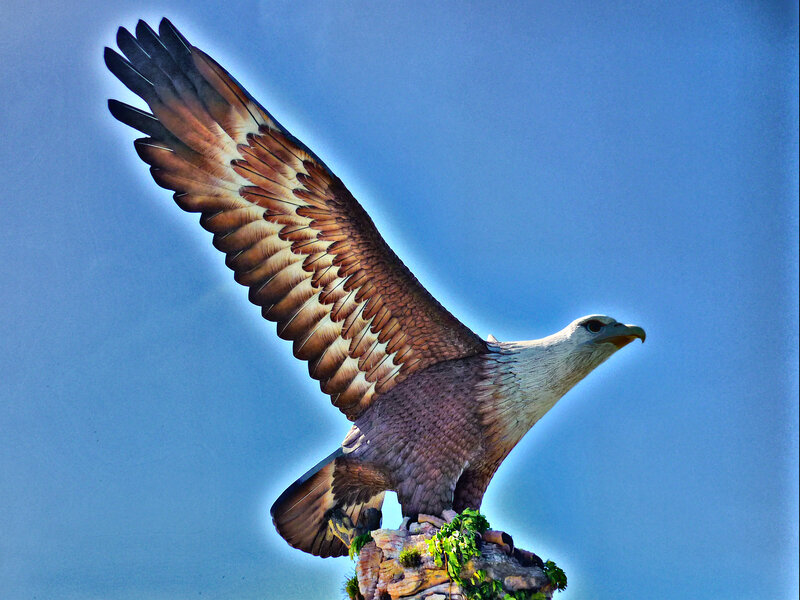 Eagle Statue on Rock