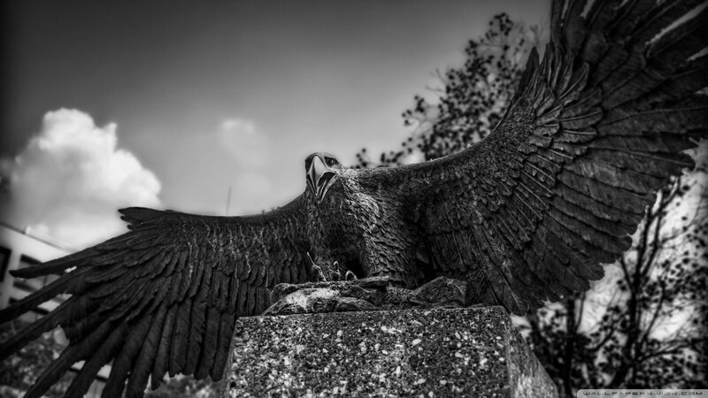 Eagle Statue with Spread Wings — Black