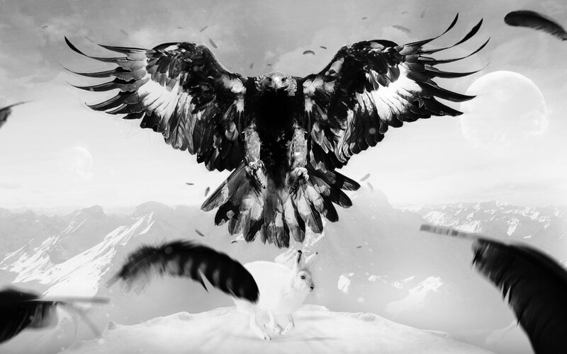 Eagle swooping on a hare