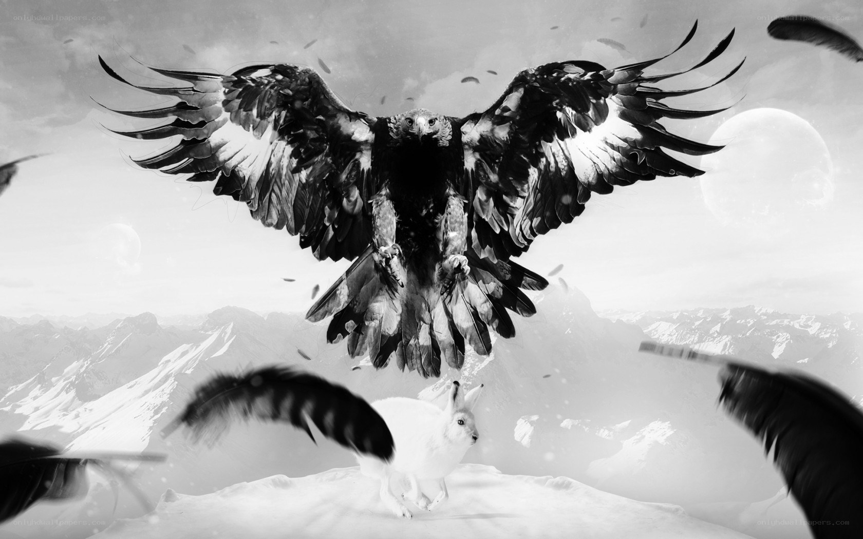 Eagle swooping on a hare