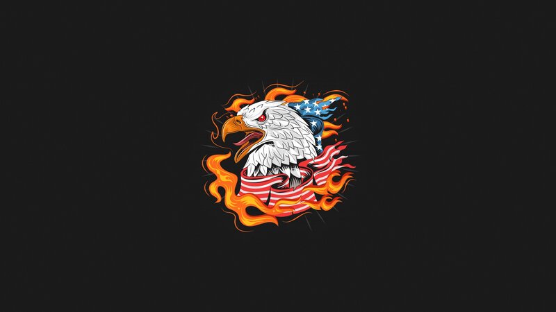 Eagle with American Flag — Black, Dramatic, Digital Art