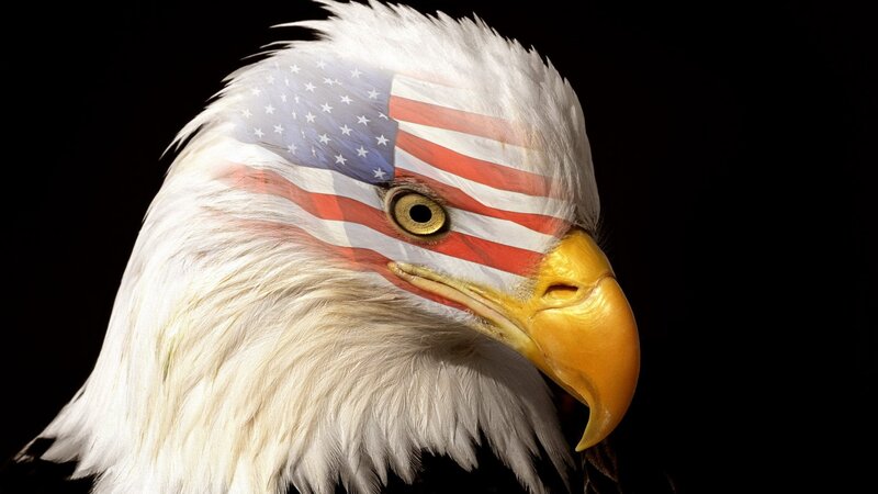 eagle with american flag