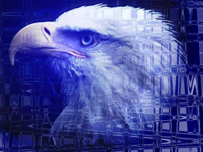 eagle with blue grid overlay