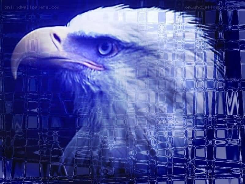 eagle with blue grid overlay