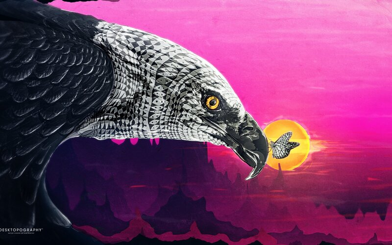 Eagle with Butterfly