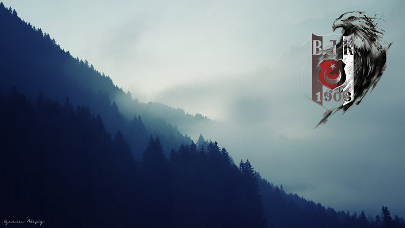Eagle with Crest over Mountains