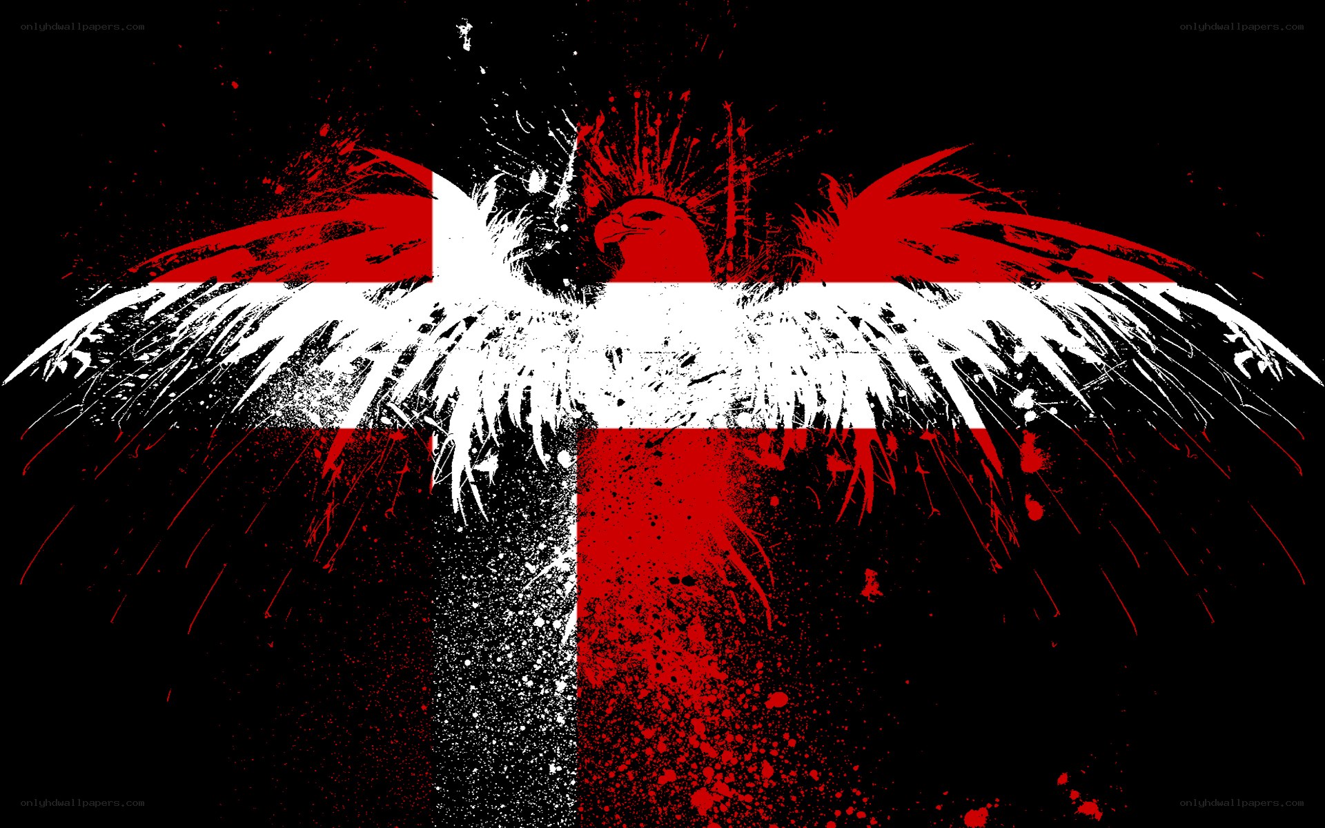Eagle with Danish flag design